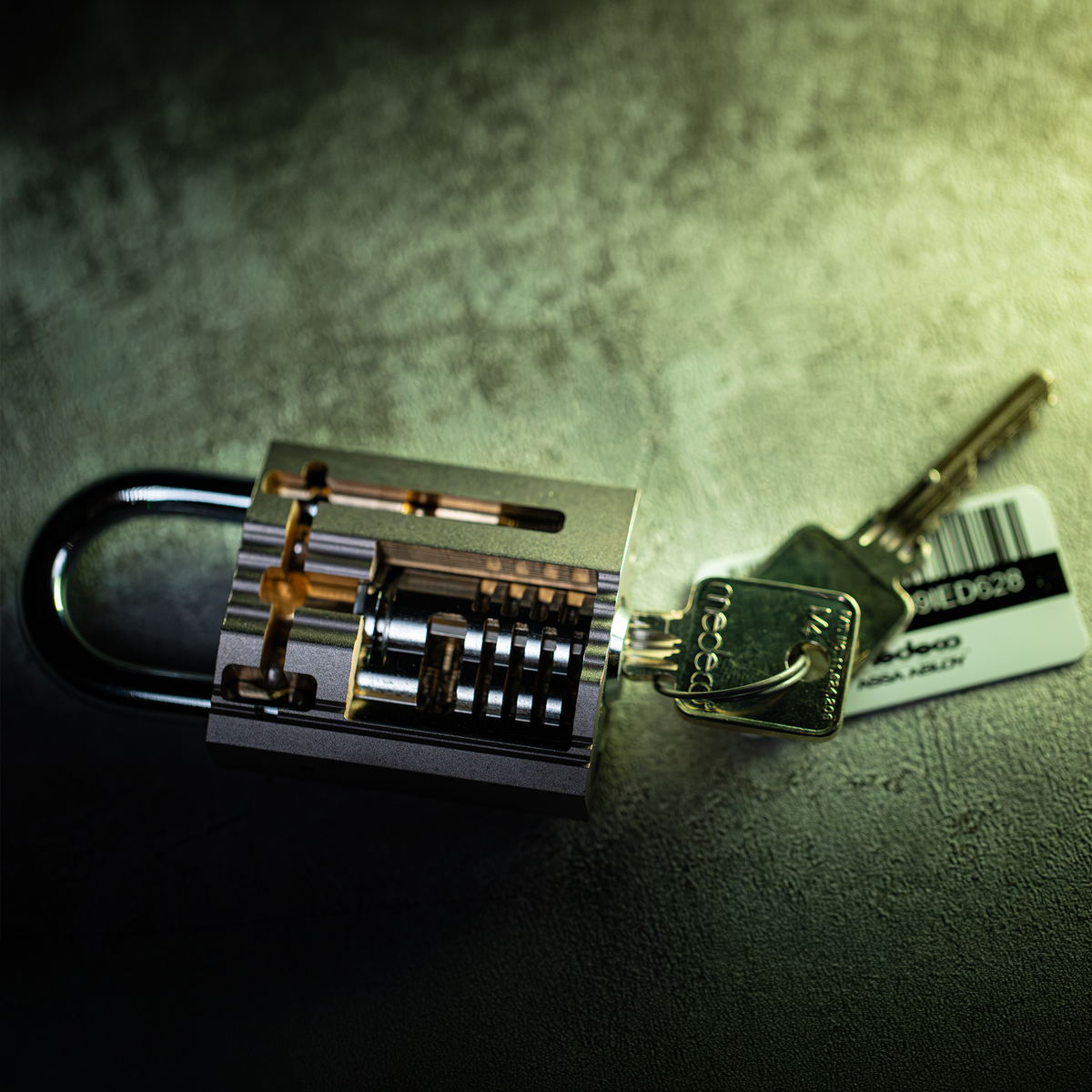 Medeco M4 Snowman Cutaway in ASSA Ruko 2 Padlock Body by Jordan the Locksmith