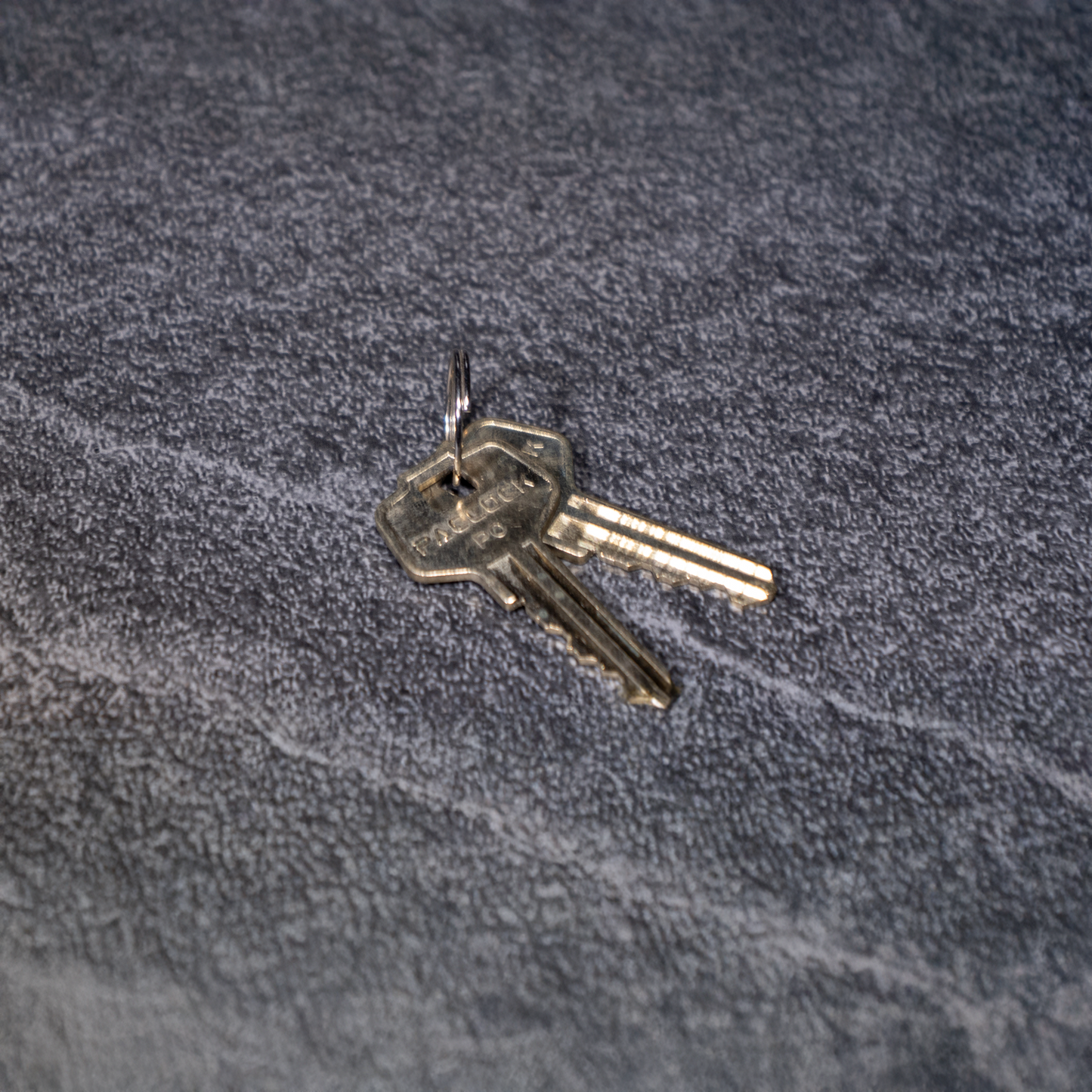 PAC Lock 900A Cutaway