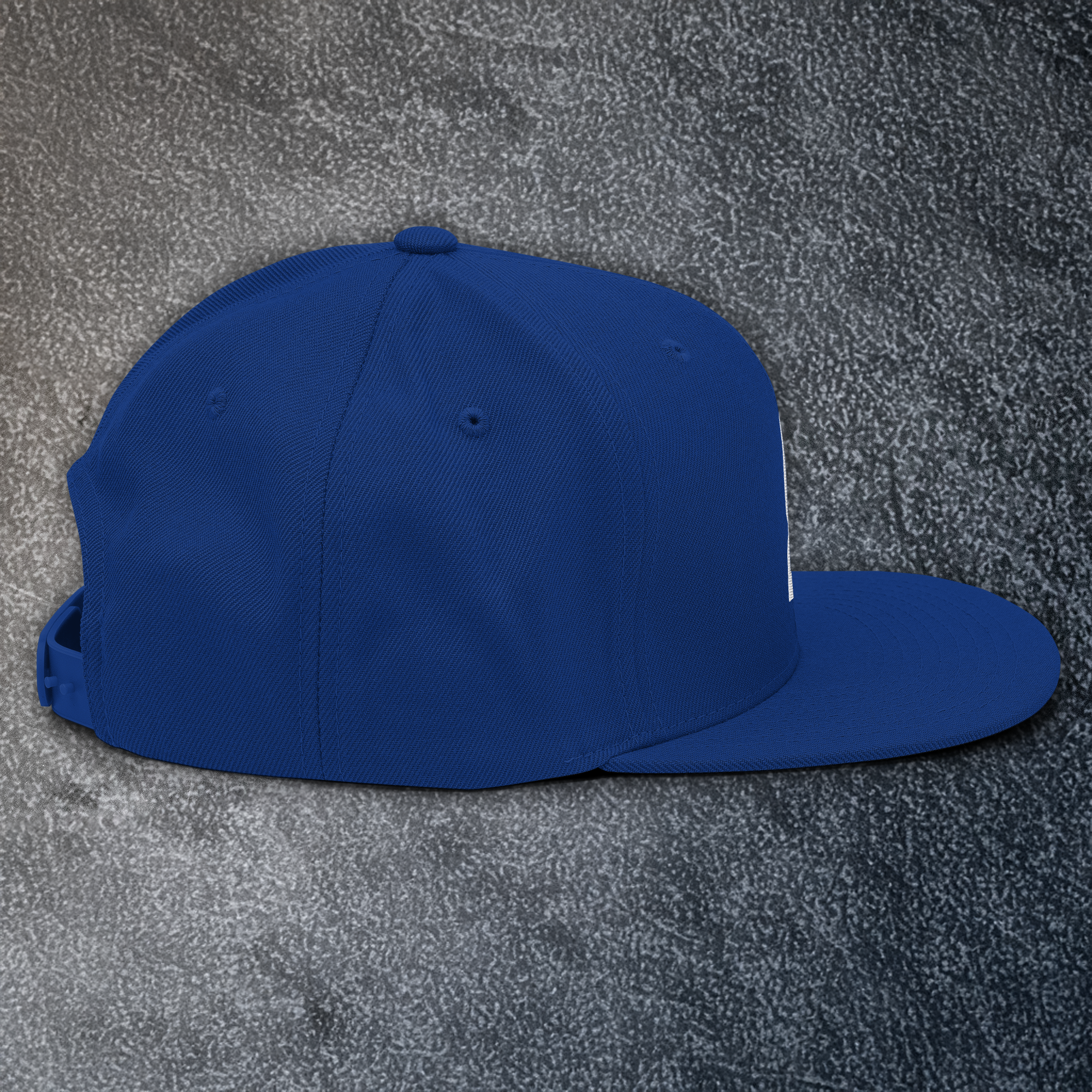 CI Snapback Hat