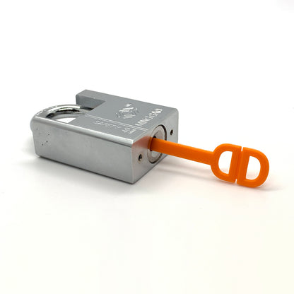 Disc Detainer Rotator Tool