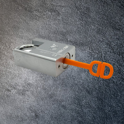Disc Detainer Rotator Tool