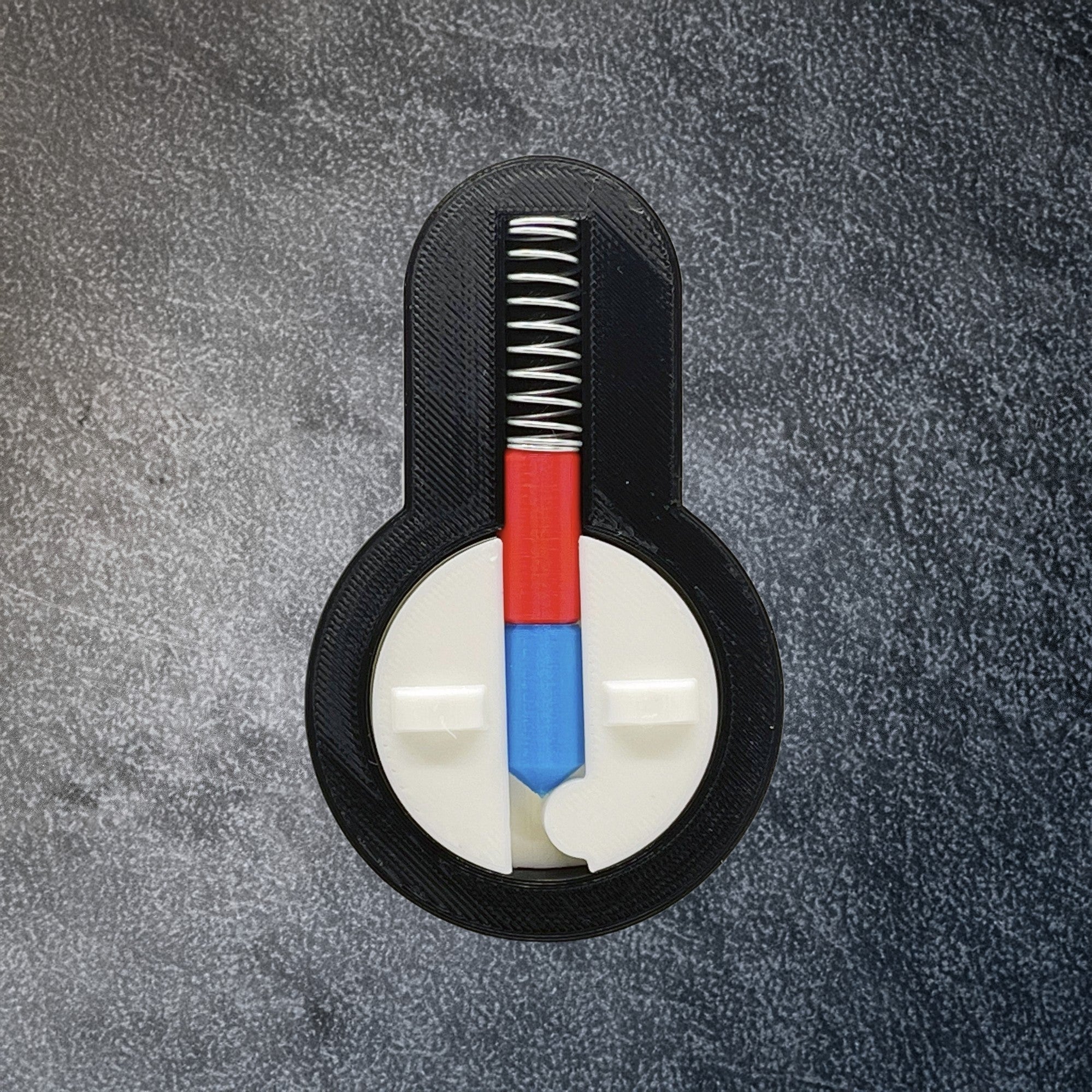 Educational Lock and Pins