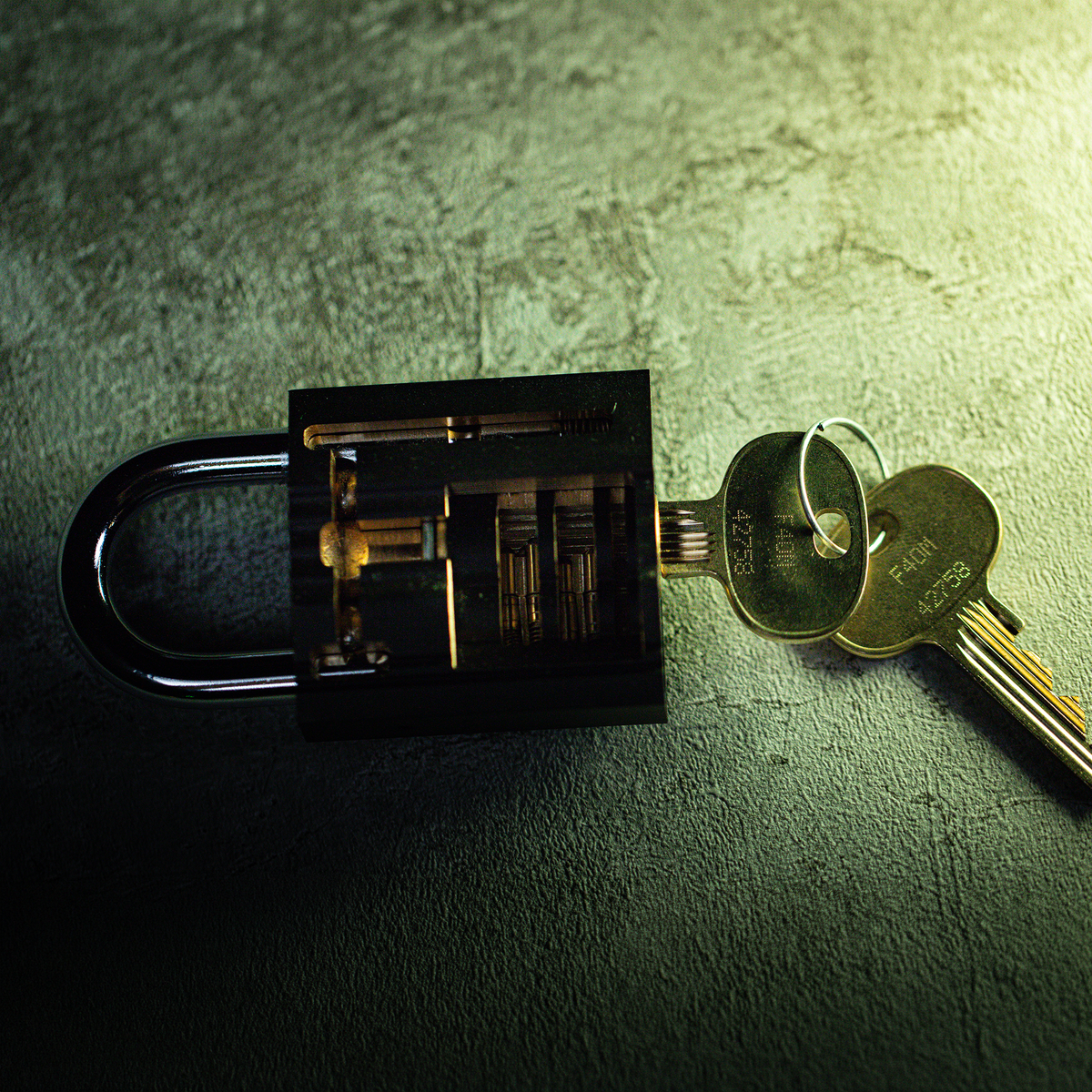 ASSA 500 Flexcore Cutaway in ASSA Ruko 2 Padlock Body by Jordan the Locksmith