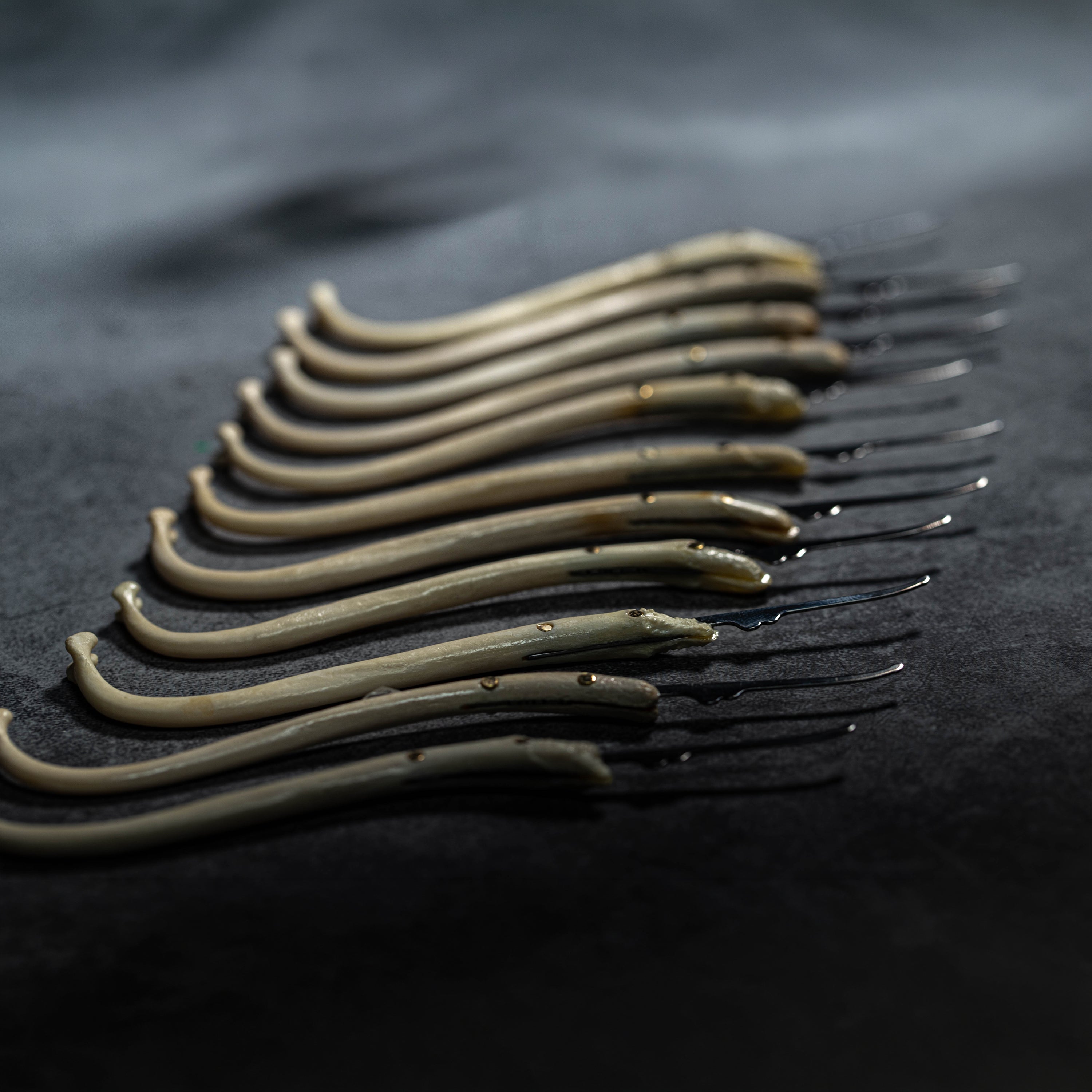 CHOP SHOP LockPickingDev Raccoon "Dick Pick" Custom Lock Pick