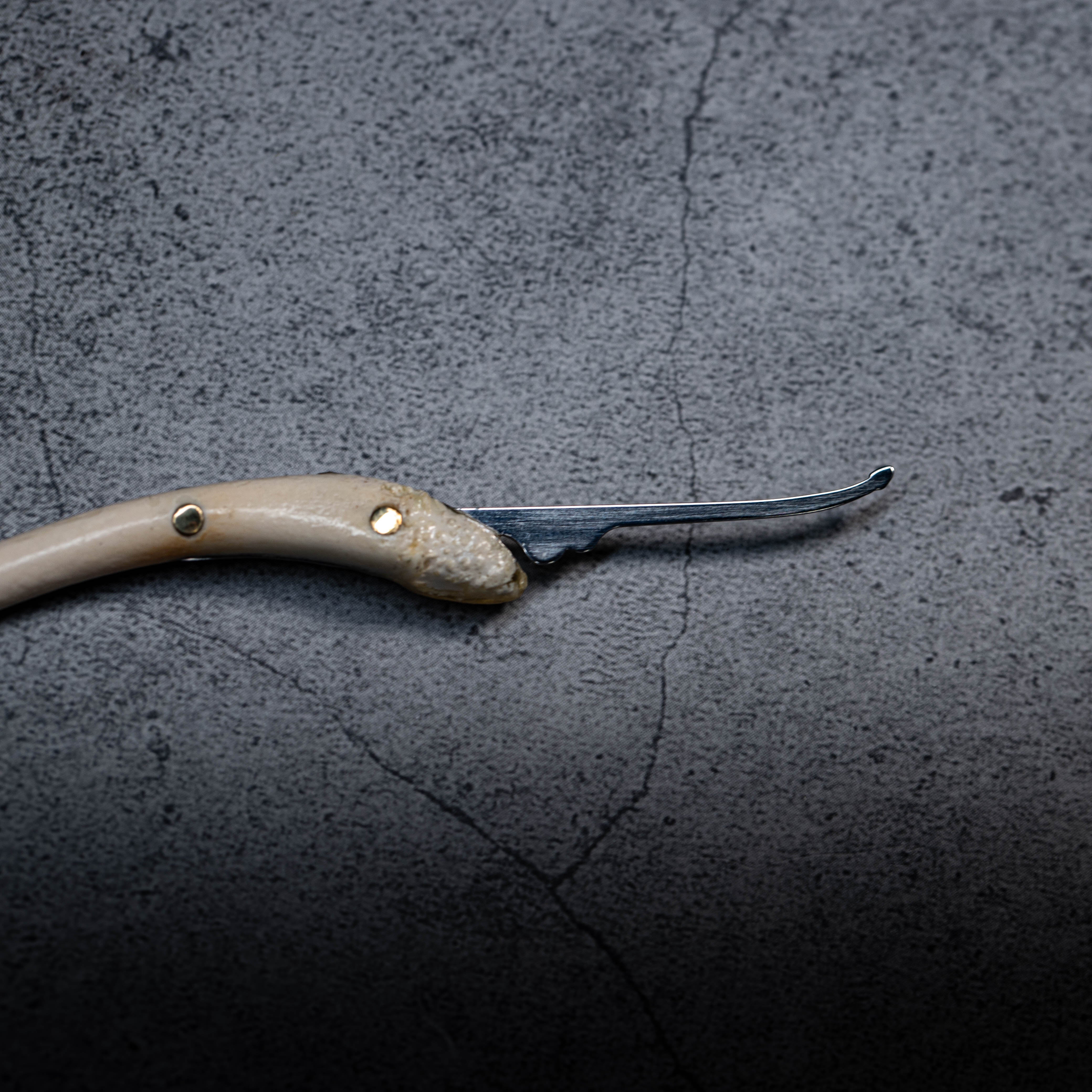 CHOP SHOP LockPickingDev Raccoon "Dick Pick" Custom Lock Pick