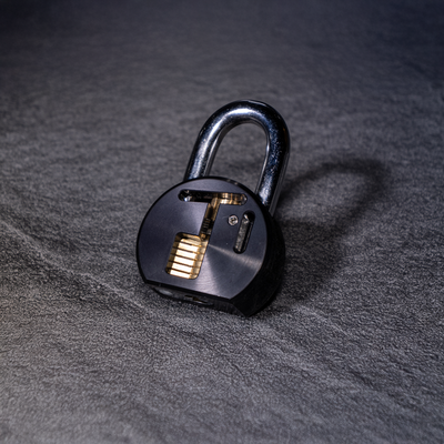PAC Lock 900A Cutaway