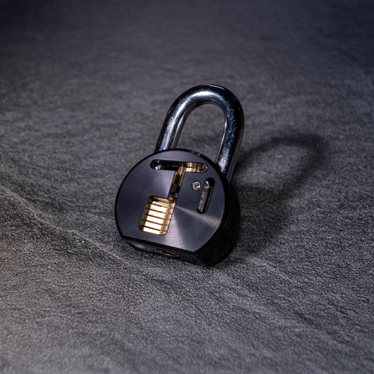 PAC Lock 900A Cutaway