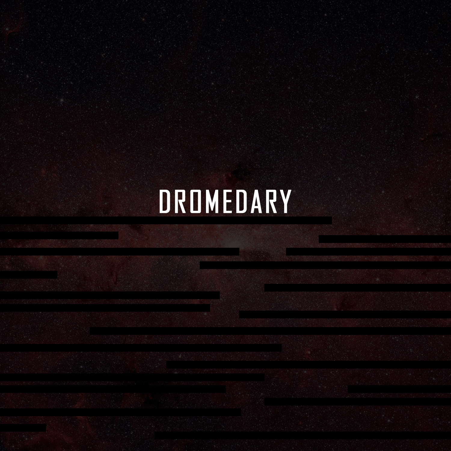 Dromedary